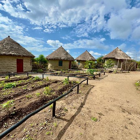 Maasai Eco Boma & Lodge - Experience Maasai Culture Makuyuni Exterior foto