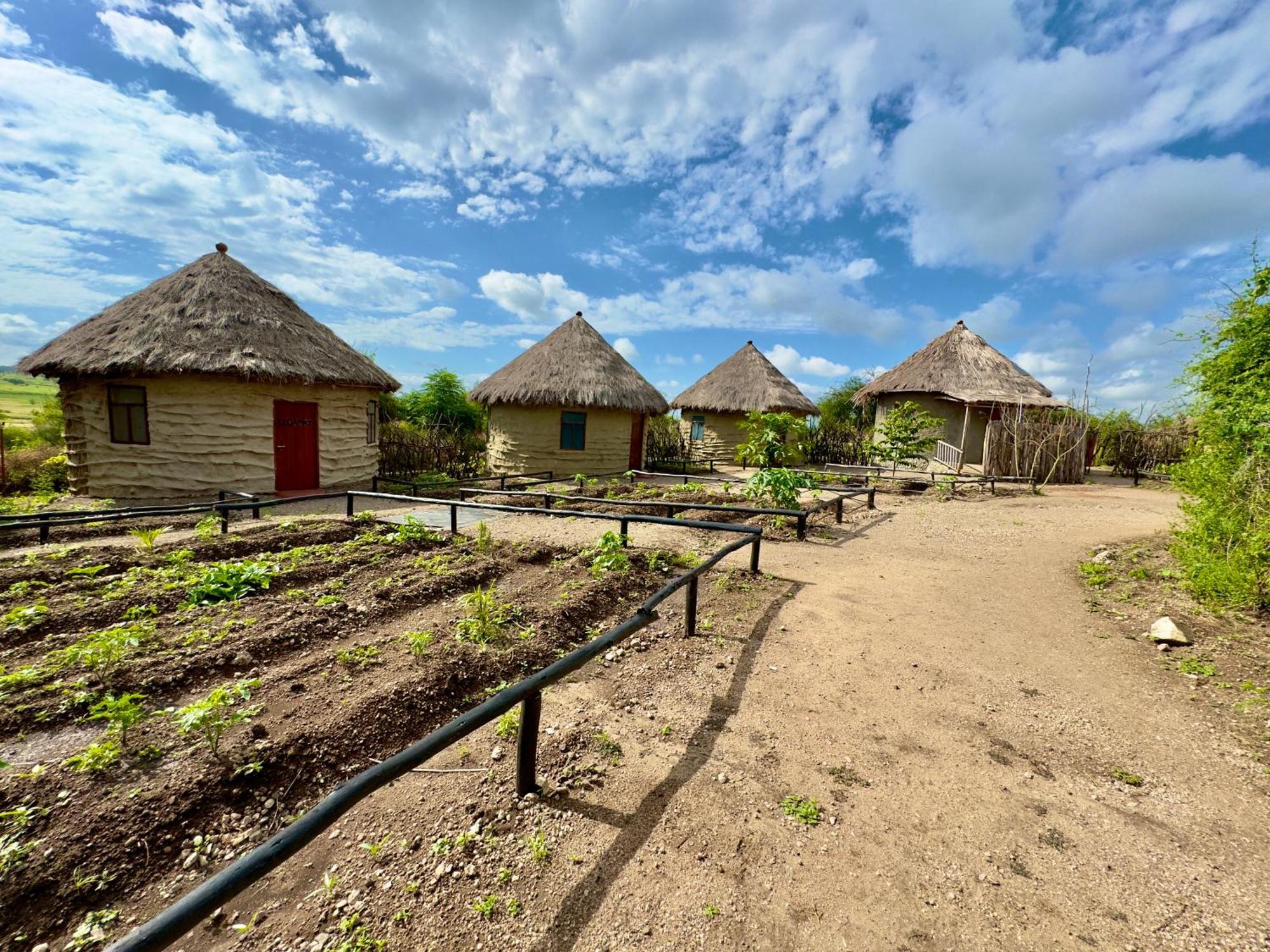 Maasai Eco Boma & Lodge - Experience Maasai Culture Makuyuni Exterior foto
