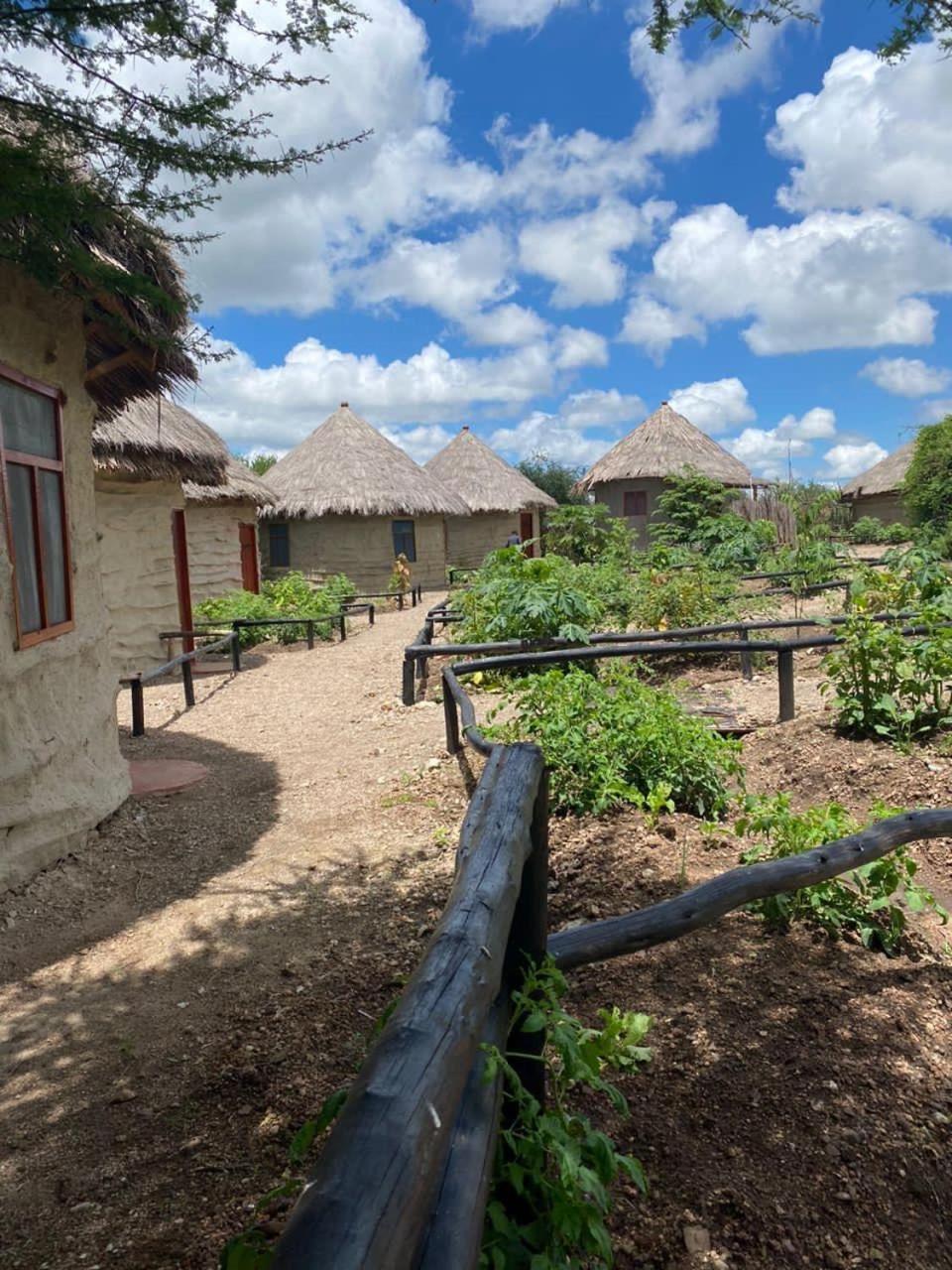 Maasai Eco Boma & Lodge - Experience Maasai Culture Makuyuni Exterior foto